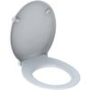 Geberit 300 Comfort 501386001 toiletzitting met deksel wit