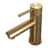 Brauer Carving 5-GG-001-HD6 low body basin mixer model A gold brushed PVD