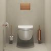 Clou Kaldur CL/09.05035.83 reserverolhouder brons geborsteld PVD