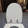 Sphinx Palma Bianca H500 880101 OLK-03 toiletzitting met deksel klassiek wit (OUTLET)
