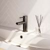 Brauer Edition 5-GM-001 low body basin mixer model A gunmetal brushed PVD
