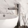 Brauer Edition 5-NG-002-HD3 verhoogde opbouw wastafelmengkraan model C RVS geborsteld PVD