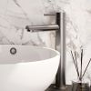 Brauer Edition 5-NG-002 raised body basin mixer model A stainless steel brushed PVD