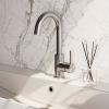 Brauer Edition 5-NG-003 high body basin mixer with swivel round spout model A stainless steel brushed PVD