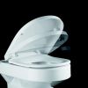 Pressalit Delight 492000-D09999 toiletzitting met deksel wit