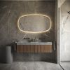 Phantom Mirrors Serie 009 009.100.65 Deens ovale LED spiegel op zwart frame, 100x65 cm met directe en indirecte led rondom