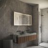 Phantom Mirrors Serie 001 001.100.70 rechthoekige LED spiegel, 100x70 cm met directe en indirecte led rondom