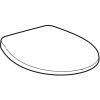 Geberit 300 Basic 502994001 toiletzitting met deksel wit