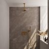 Brauer Carving 5-GG-188 thermostatische inbouw regendouche met drukknoppen SET 53 goud geborsteld PVD