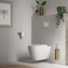 Brauer 5-GG-150 toiletrolhouder goud geborsteld pvd