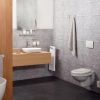 Haceka Aline 1208581 closetrolhouder geborsteld aluminium