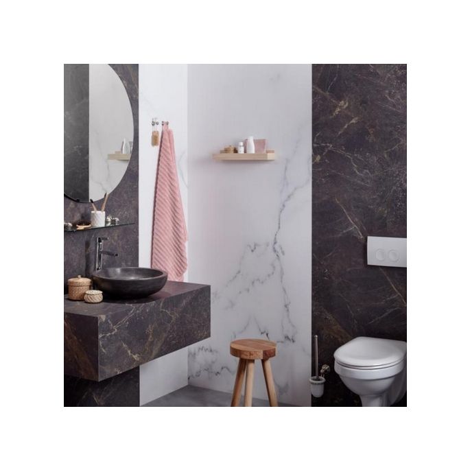 Haceka Allure 1208630 closetrolhouder met klep RVS geborsteld