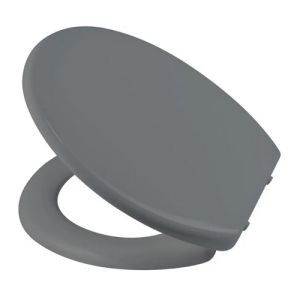 Diaqua Barbana 31166658 toilet seat with lid gray