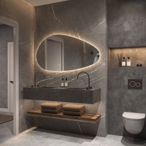 Phantom Mirrors Serie 010 010.100.65 organische LED spiegel, 100x65 cm met directe en indirecte led rondom