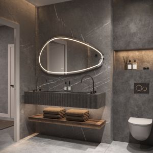 Phantom Mirrors Serie 010 010.100.65 organische LED spiegel, 100x65 cm met directe en indirecte led rondom