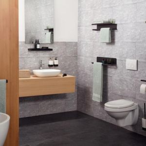 Haceka Aline 1208641 closetborstel wit keramiek/ mat zwart