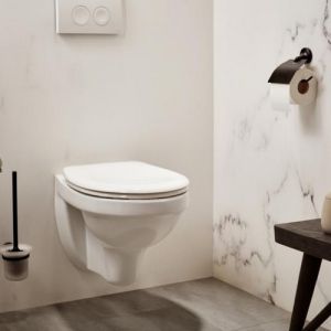 Haceka Aspen 1209511 closetrolhouder met klep mat zwart