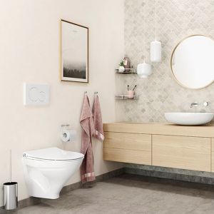 Pressalit Choice Q10850 toiletborstelgarnituur voor wandmontage glanzend staal