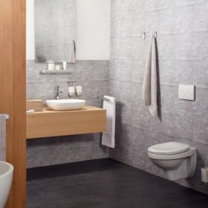 Haceka Aline 1208581 closetrolhouder geborsteld aluminium