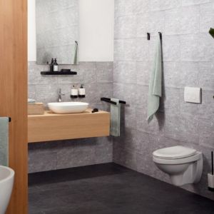 Haceka Aline 1208641 closetborstel wit keramiek/ mat zwart