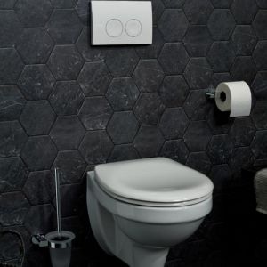 Haceka Gio 1208561 closetborstel gesatineerd glas/ chroom