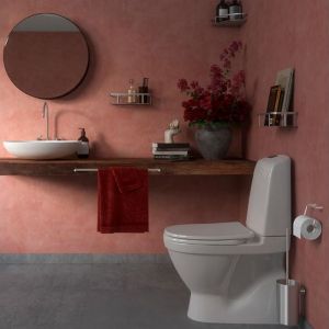 Pressalit Choice Q30550 dubbele handdoekhouder 60cm geborsteld staal