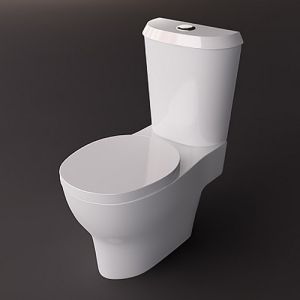 Geberit Cassini 575200000 toiletzitting met deksel wit